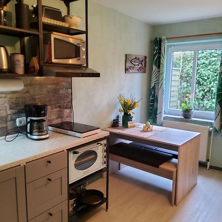 Studio-Apartment Mit Kleinem Gartenanteil Burg auf Fehmarn Luaran gambar